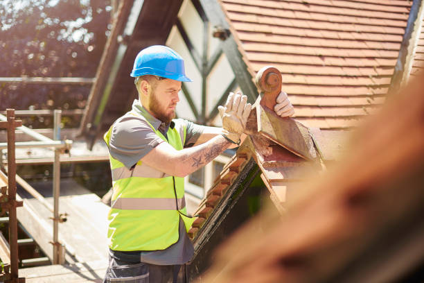 Roof Gutter Cleaning in Ozark, AL